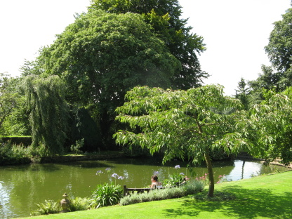 Gärten in England Coton Manor